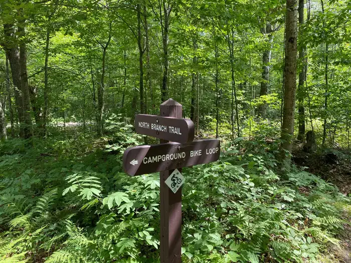 Camper-submitted photo at Moosalamoo Campground near West Rutland, VT