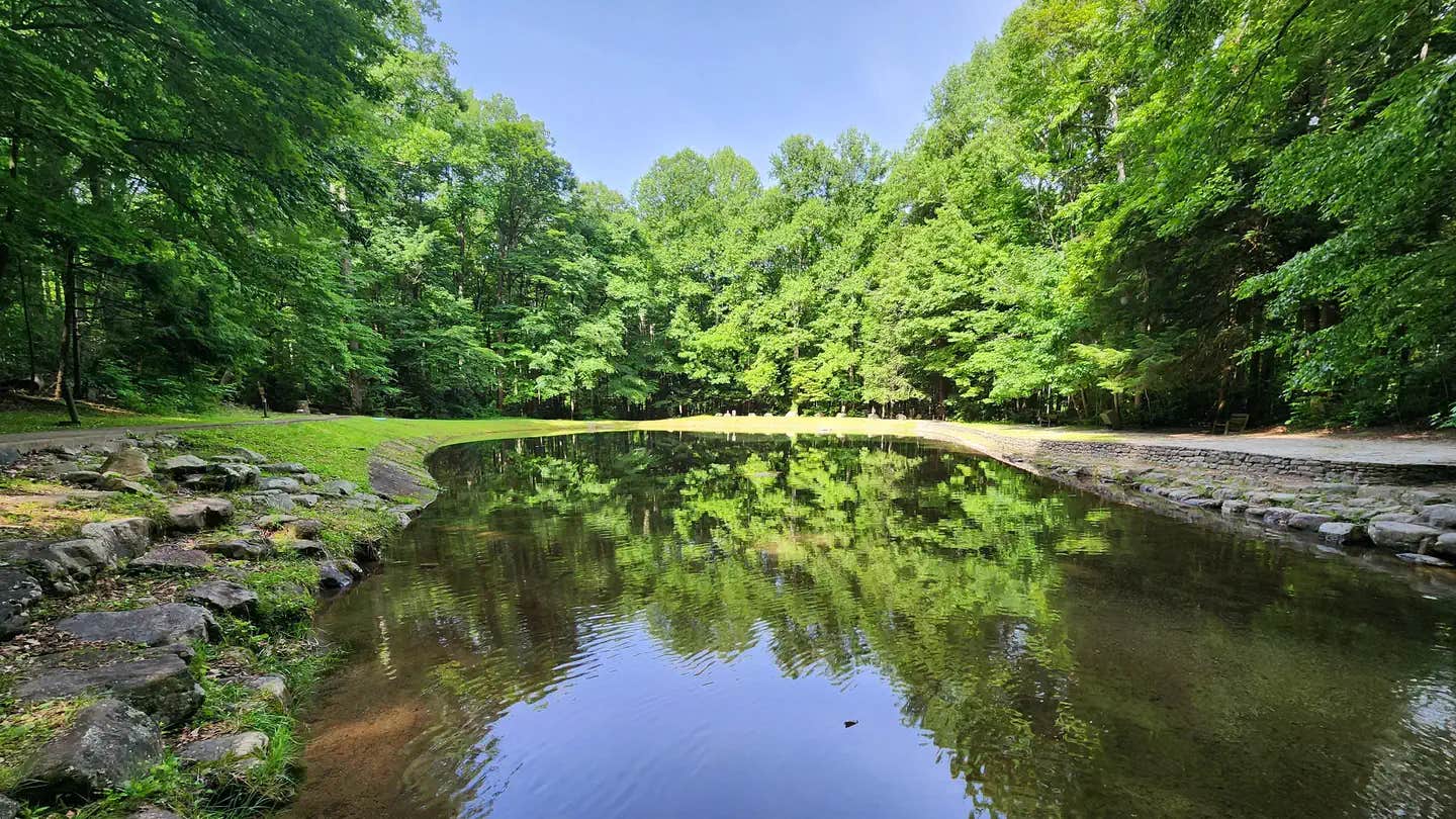 Camper submitted image from Rock Creek Recreation Area - 1