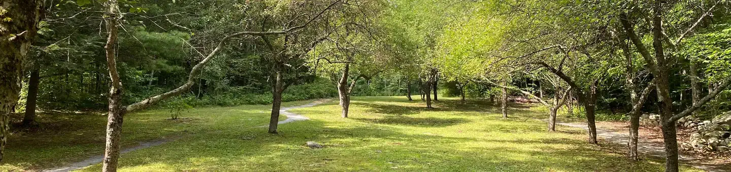 Camper-submitted photo at Moosalamoo Campground near West Rutland, VT