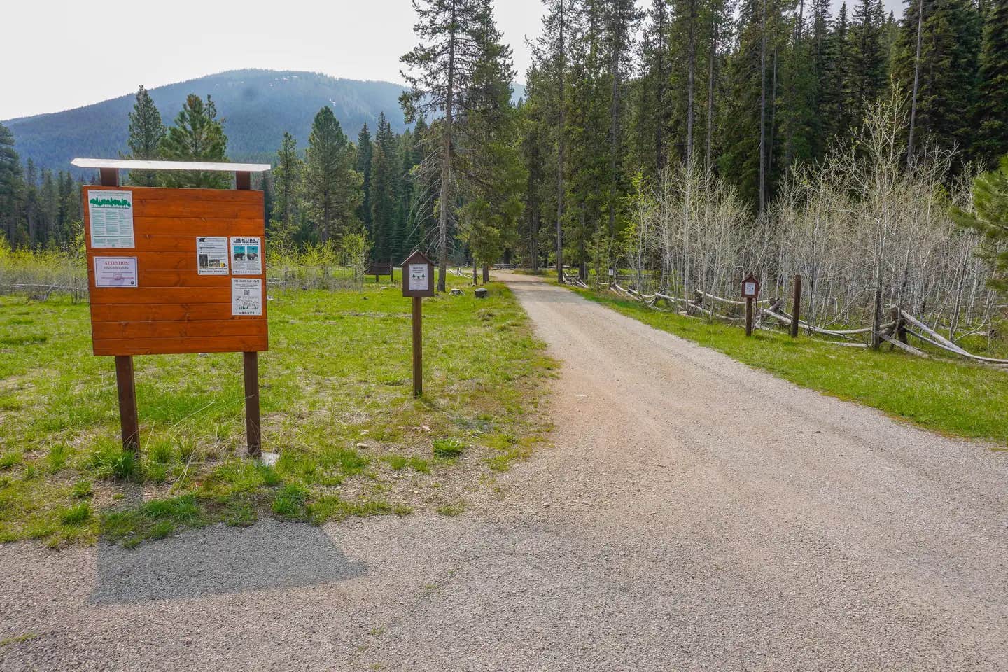 Camper submitted image from Fales Flat Campground - 1