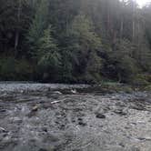 Review photo of Staircase Campground — Olympic National Park by Ryan L., September 26, 2016