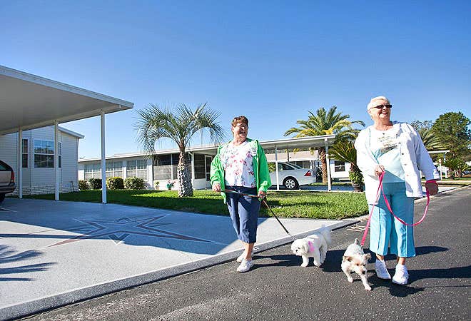 The Dyrt's photo of camping with pets at Encore Topics near Brooksville, FL