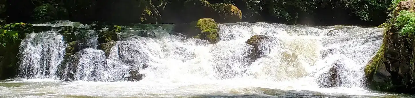 Camper-submitted photo at Cavitt Creek Falls near Idleyld Park, OR