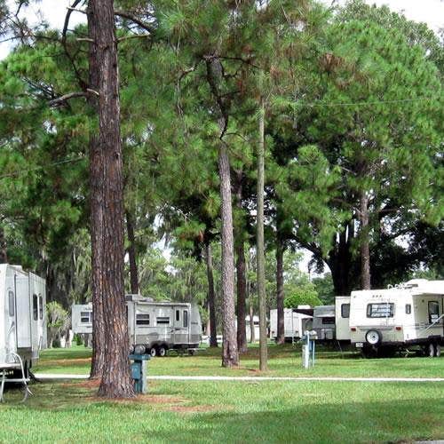 Camper submitted image from Winter Garden - 3