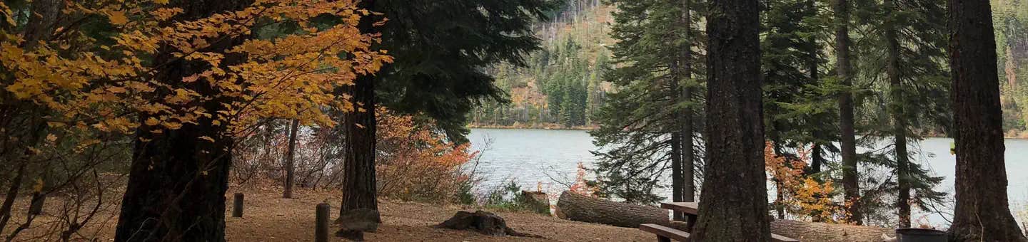 Camper submitted image from Link Creek - 1