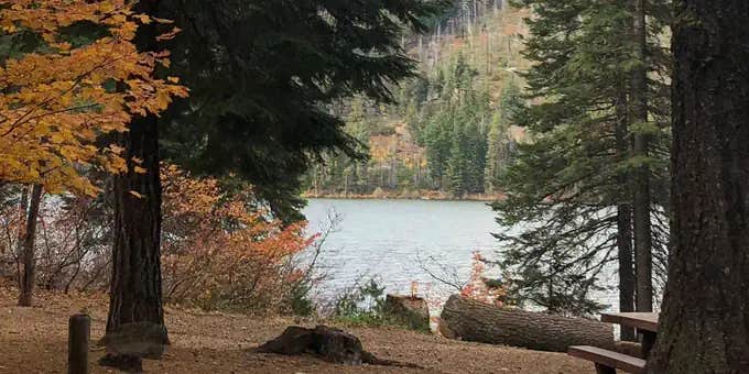 Camper submitted image from Link Creek