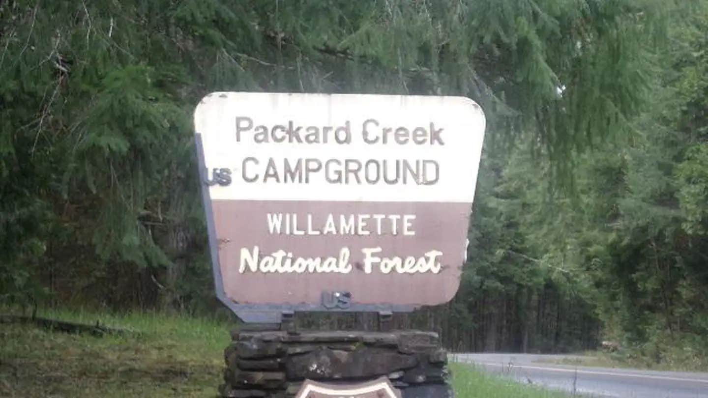 Camper submitted image from Willamette National Forest Packard Creek Campground - 1