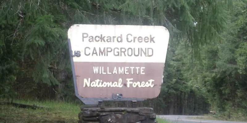 Camper submitted image from Willamette National Forest Packard Creek Campground