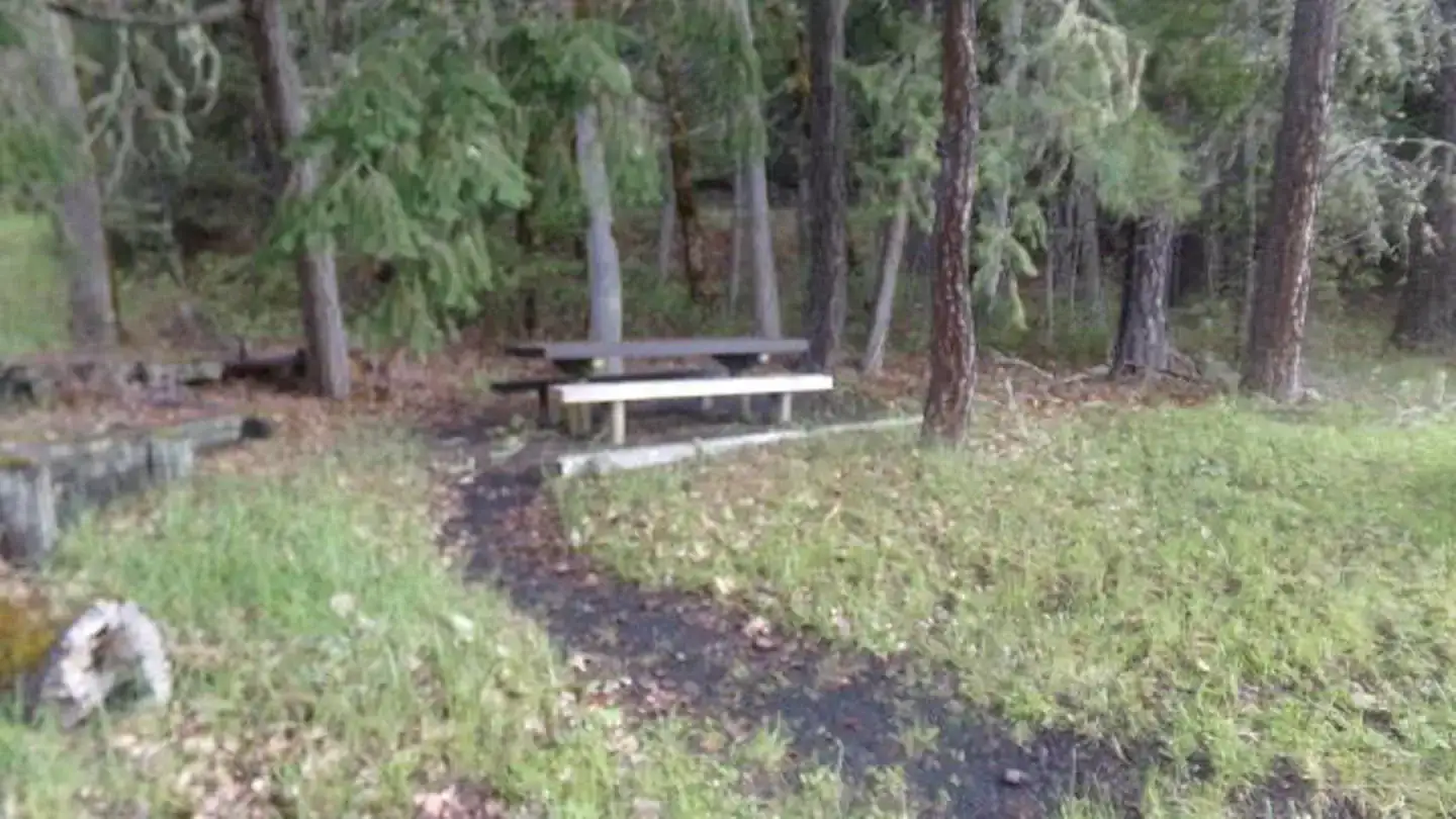 Camper-submitted photo at Willamette National Forest Packard Creek Campground near Oakridge, OR