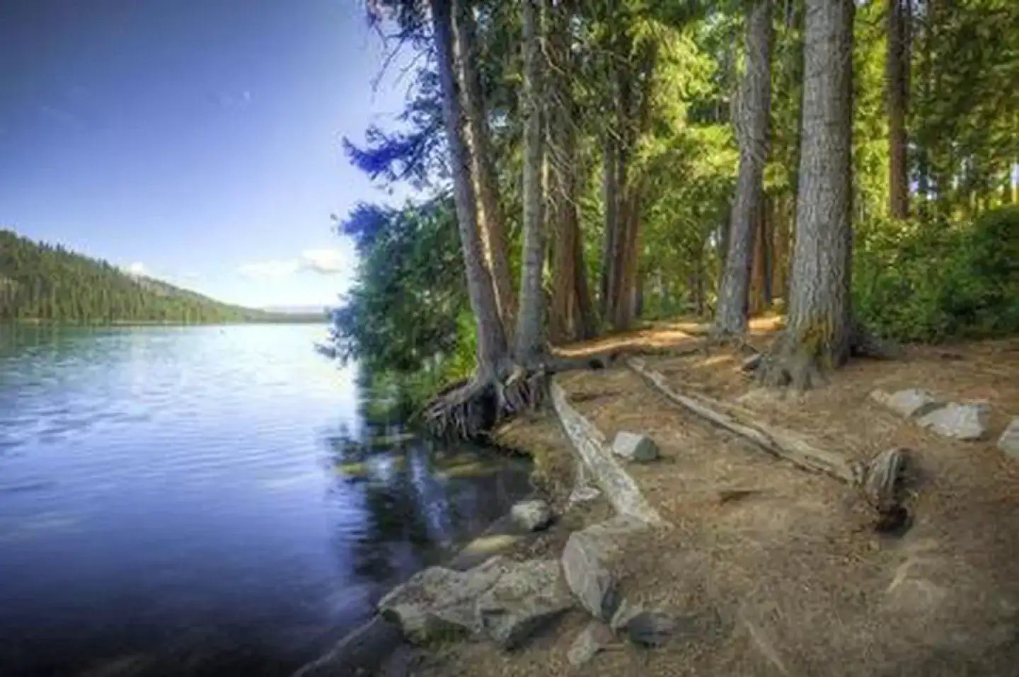 Camper-submitted photo at Link Creek near Camp Sherman, OR