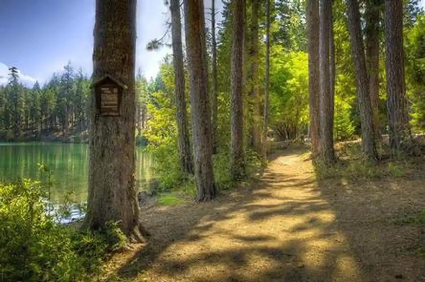 Camper-submitted photo at Link Creek near Camp Sherman, OR