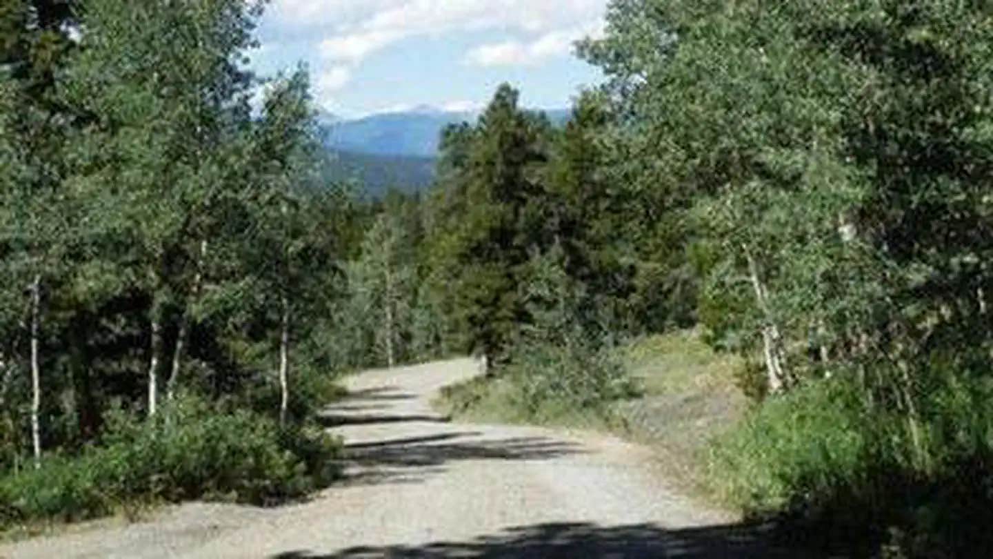 Camper submitted image from Cold Springs - Arapaho Roosevelt Nf (CO) - 1