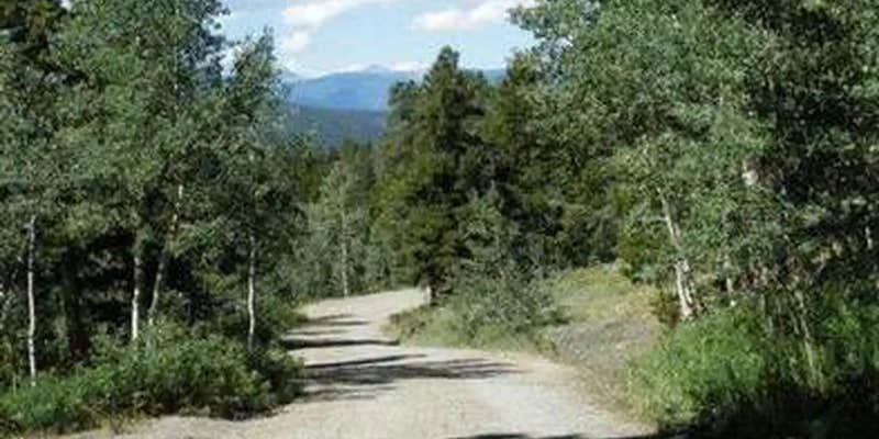 Camper submitted image from Cold Springs - Arapaho Roosevelt Nf (CO)