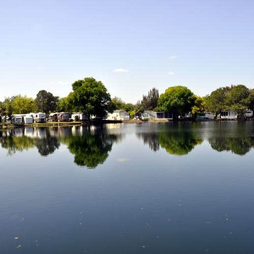 Camper-submitted photo at Encore Winter Quarters Pasco near Temple Terrace, FL