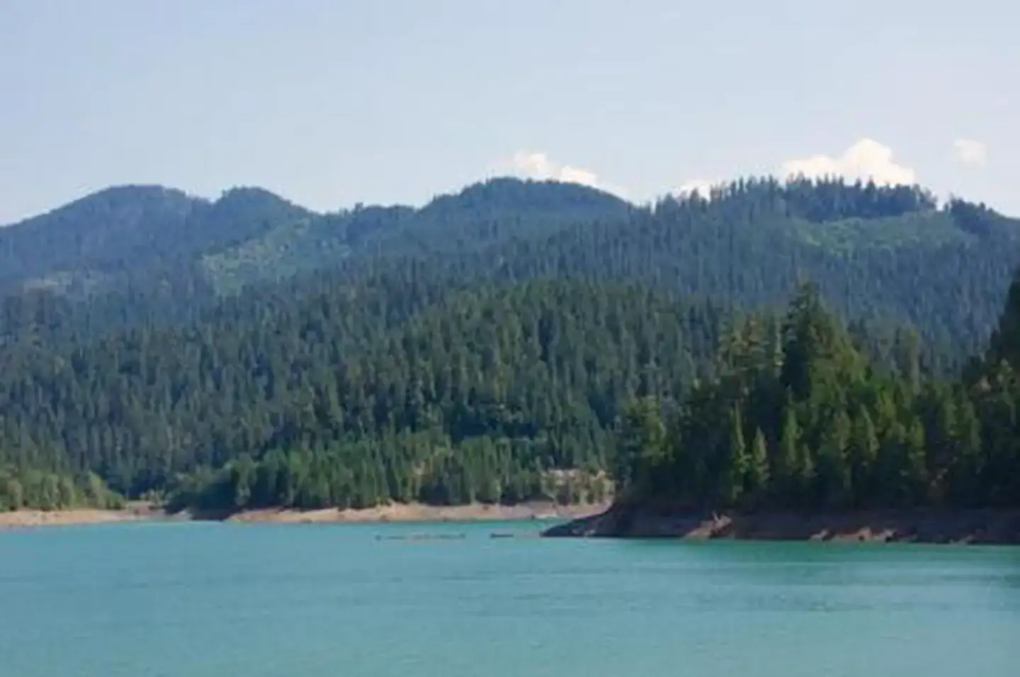Camper-submitted photo at Willamette National Forest Packard Creek Campground near Oakridge, OR