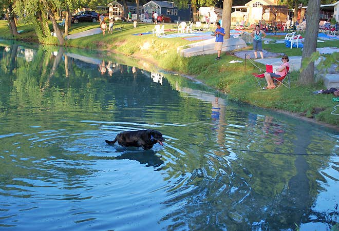The Dyrt's photo of camping with pets at O'Connell's RV Campground near North Utica, IL