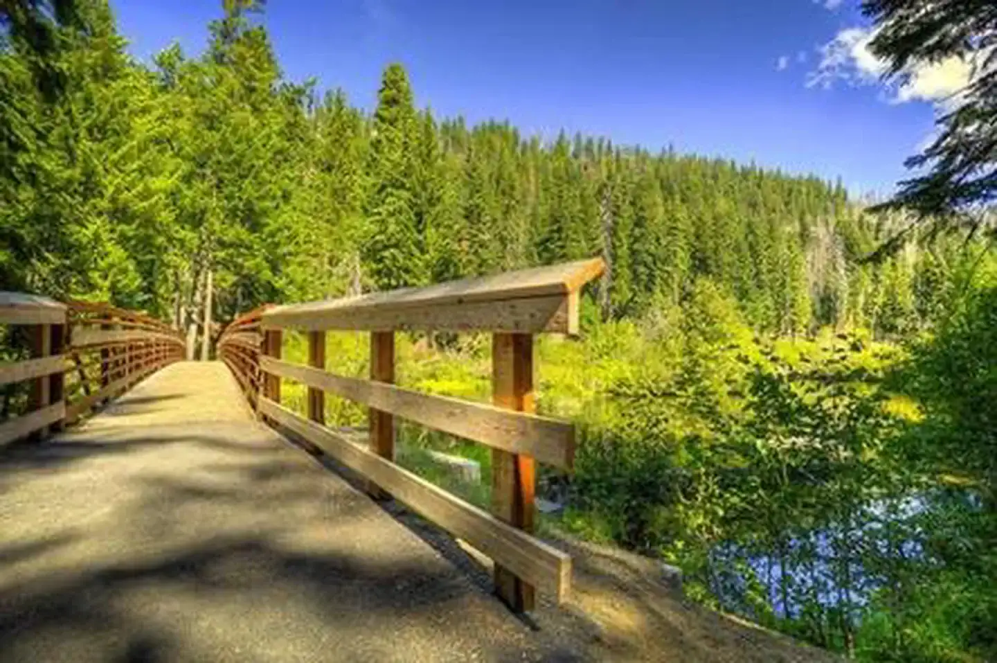 Camper-submitted photo at Link Creek near Camp Sherman, OR