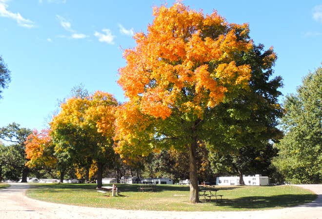 Camper-submitted photo at O'Connell's RV Campground near DeKalb, IL