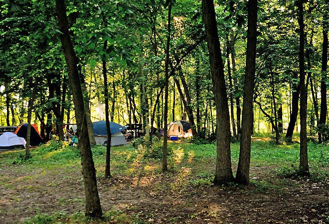 The Dyrt's photo at O'Connell's RV Campground near Princeton, IL