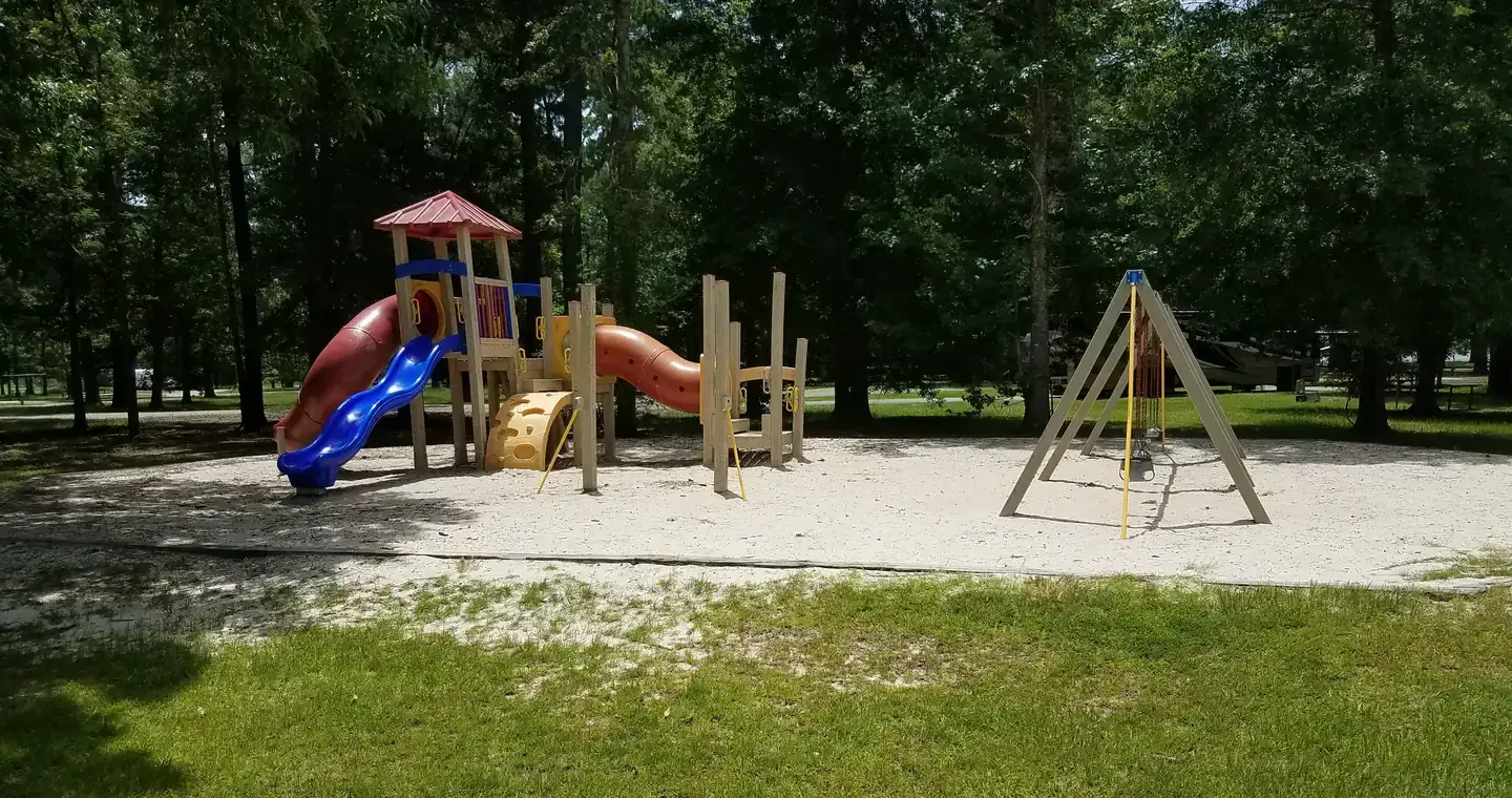 Camper-submitted photo at Sandy Creek near Big Thicket National Preserve