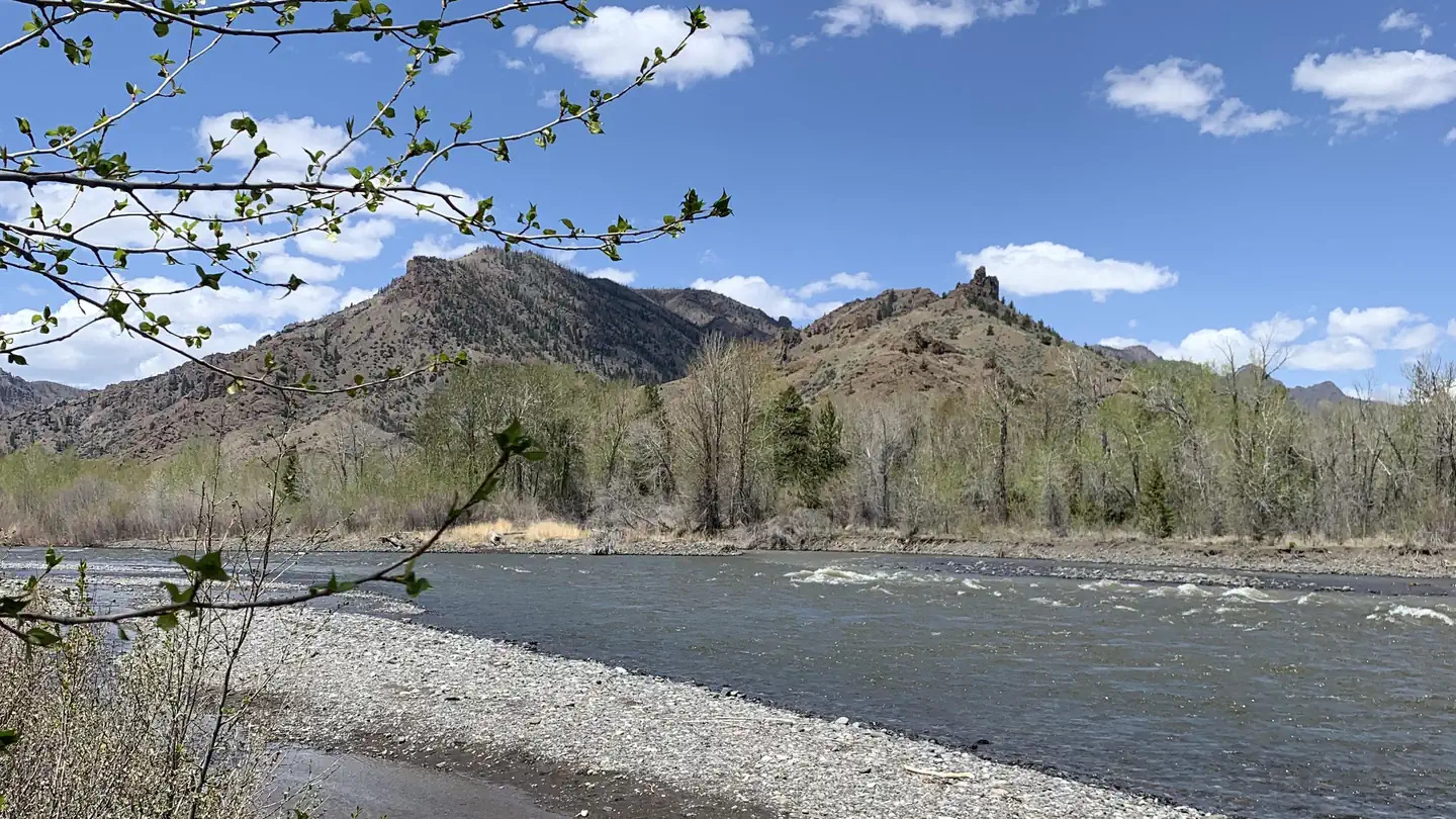 Camper-submitted photo at Wapiti Campground near Wapiti, WY