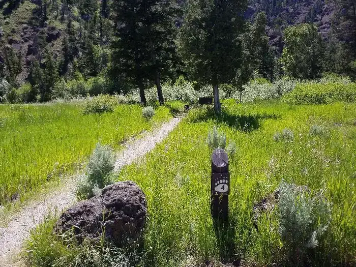 Camper-submitted photo at Clearwater Campground near Cody, WY