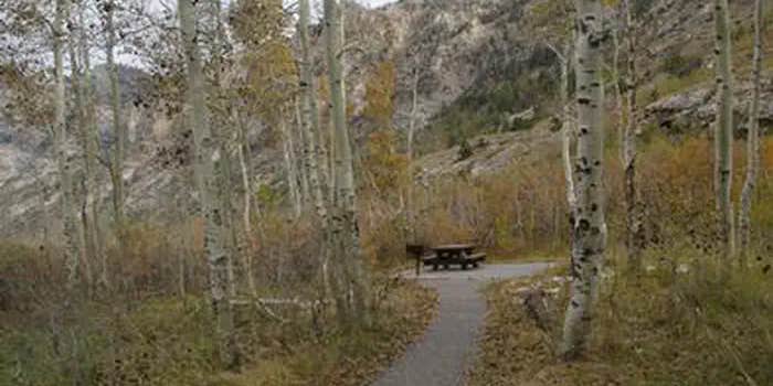 Camper submitted image from Humboldt-Toiyabe National Forest Terraces Picnic and Group Camping Site