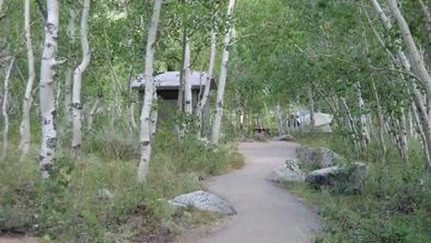 Camping near Four Jeffery Campground: Inyo National Forest Table Mountain Group Campground, Bishop, California