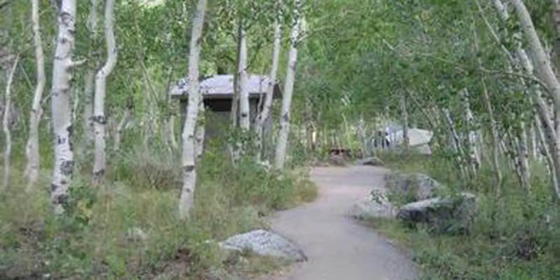 Camper submitted image from Inyo National Forest Table Mountain Group Campground