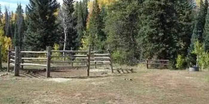 Camper submitted image from Marvine Campground