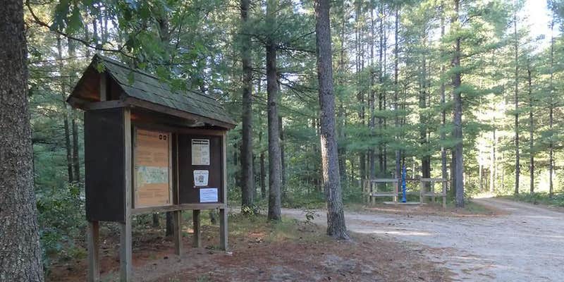 Camper submitted image from Manistee National Forest Marzinski Horse Trail Campground