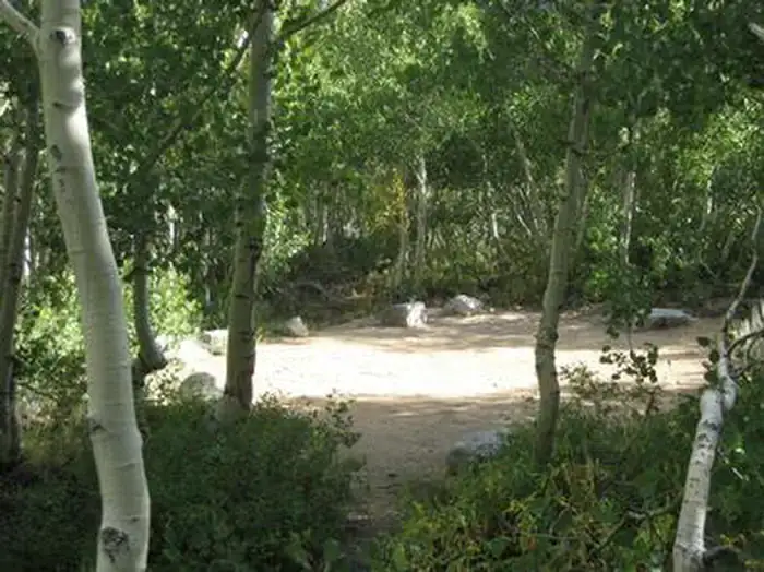 Camper-submitted photo at Inyo National Forest Table Mountain Group Campground near Big Pine, CA