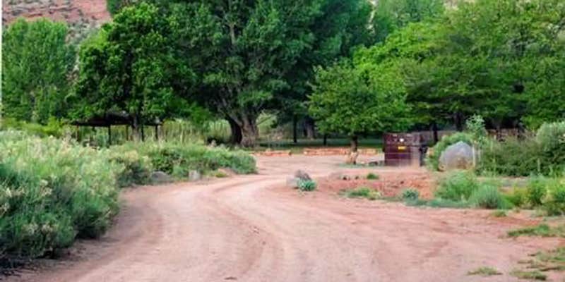 Camper submitted image from Capitol Reef Np Group Campsite — Capitol Reef National Park
