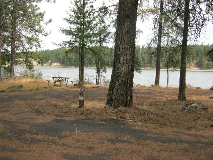 Camper submitted image from Snag Cove Campground — Lake Roosevelt National Recreation Area - 1