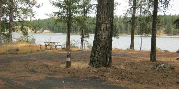 Camper submitted image from Snag Cove Campground — Lake Roosevelt National Recreation Area