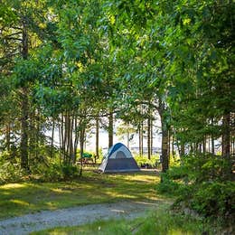 Mt Desert Narrows Camping Resort