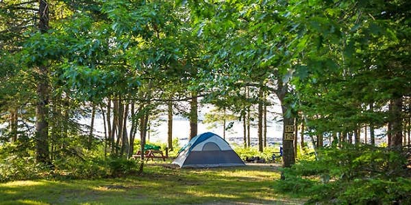 Camper submitted image from Mt Desert Narrows Camping Resort