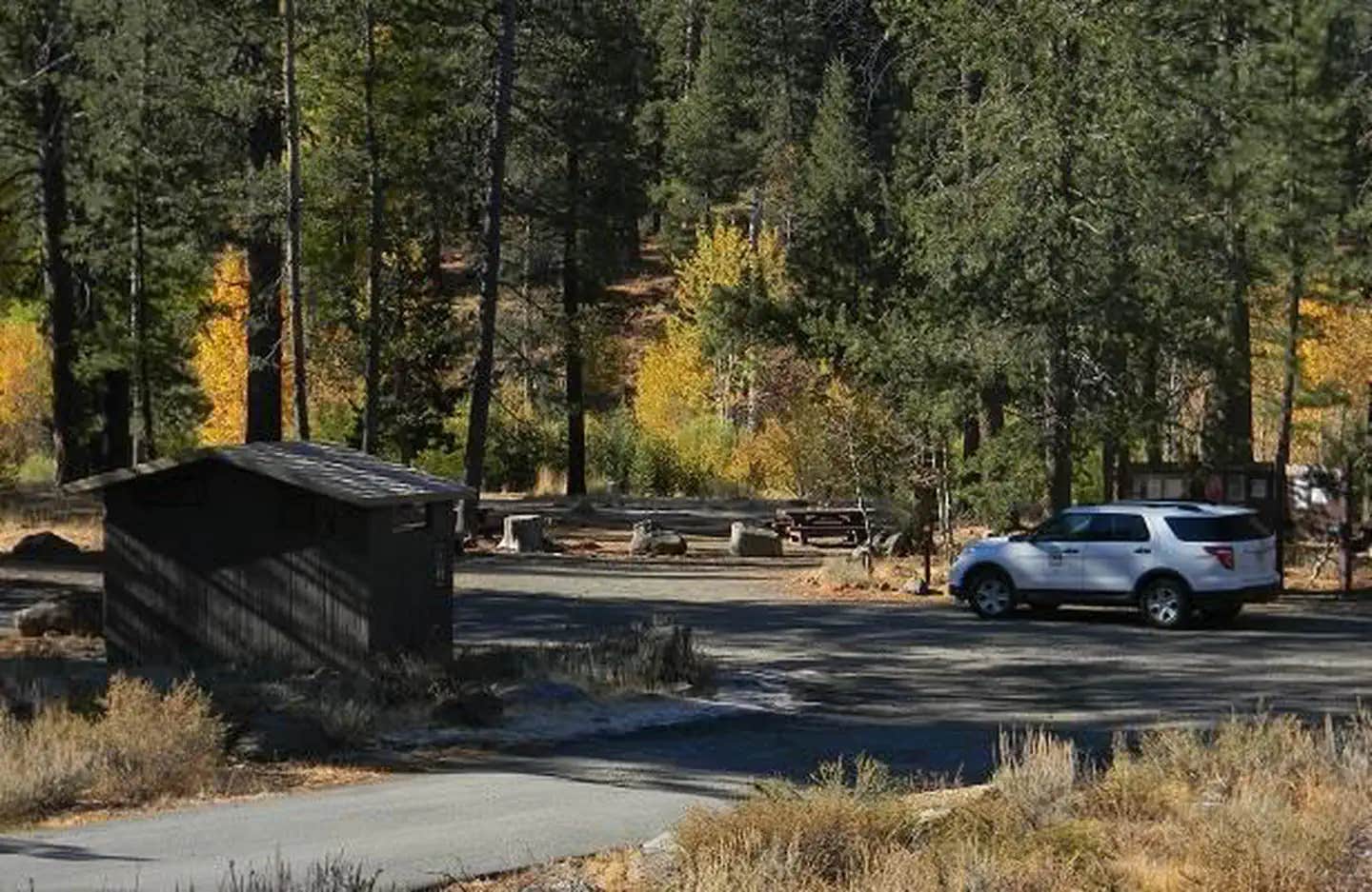 Camper submitted image from Lower Little Truckee - 1