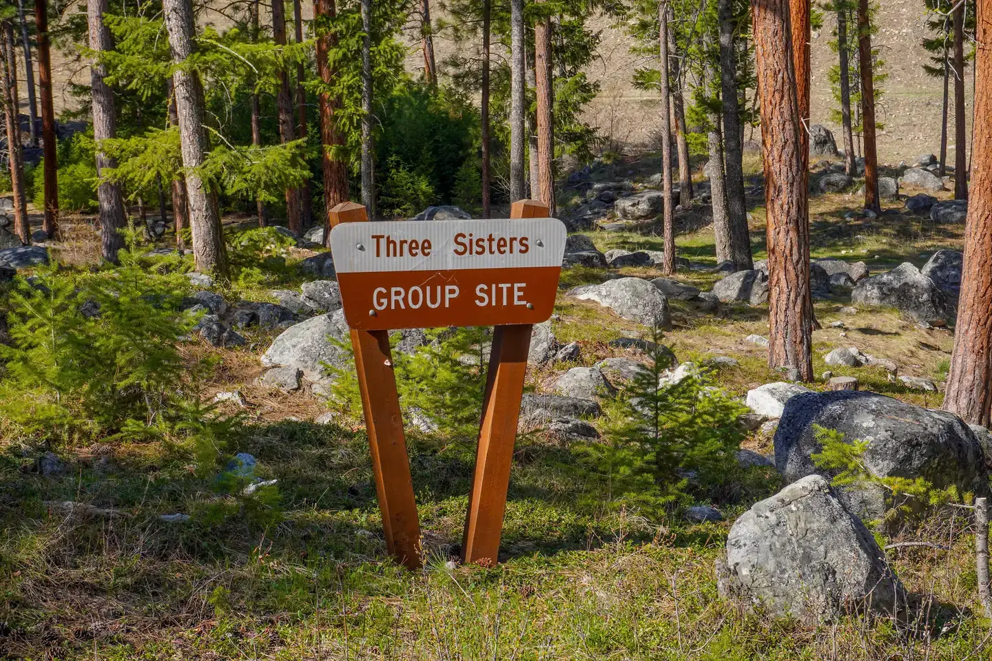 Camping near Old Barn Studios: Three Sisters Group Site (Mt) — Bitterroot National Forest, Darby, Montana
