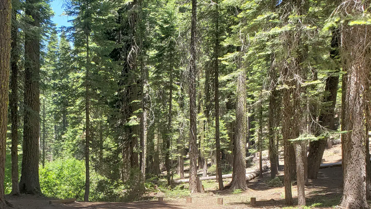 Camper-submitted photo at Grizzly Creek Campground near Twain, CA