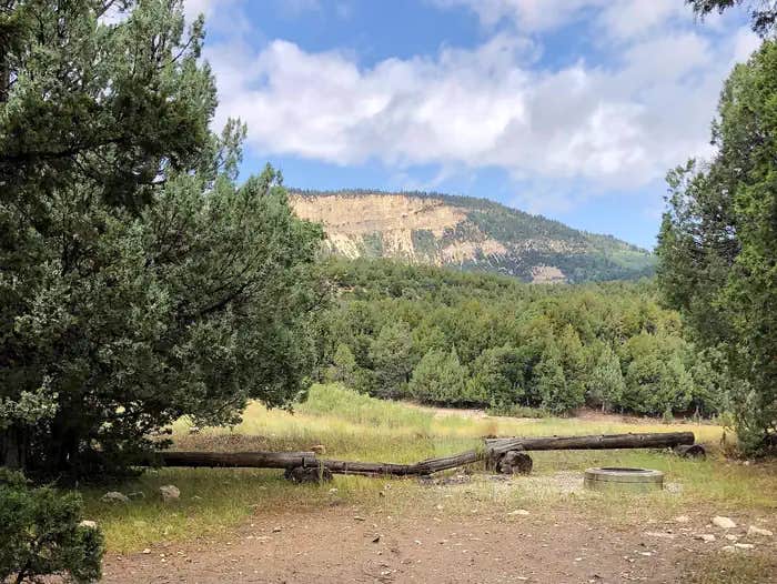 Camper submitted image from Twin Lake Campground - 1