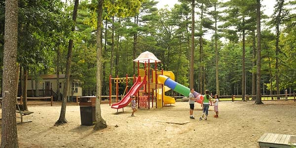 Camper submitted image from Thousand Trails Gateway to Cape Cod