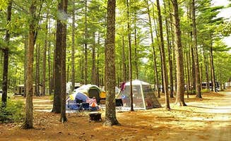 The Dyrt's photo at Thousand Trails Gateway to Cape Cod near Taunton, MA