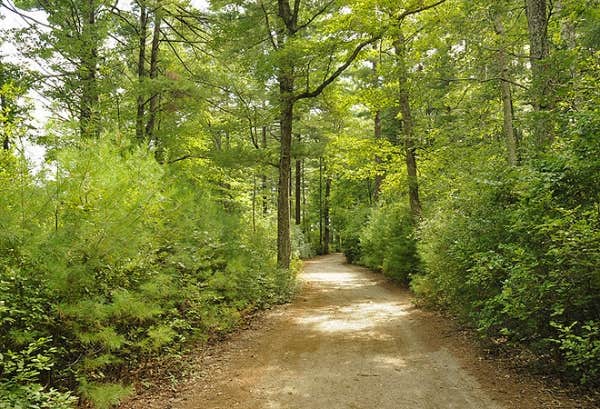 Camper-submitted photo at Thousand Trails Gateway to Cape Cod near North Falmouth, MA