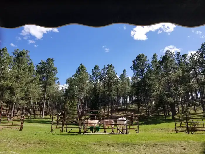 Camping near Spokane Creek Resort: Iron Creek Horse Camp — Black Hills National Forest, Keystone, South Dakota