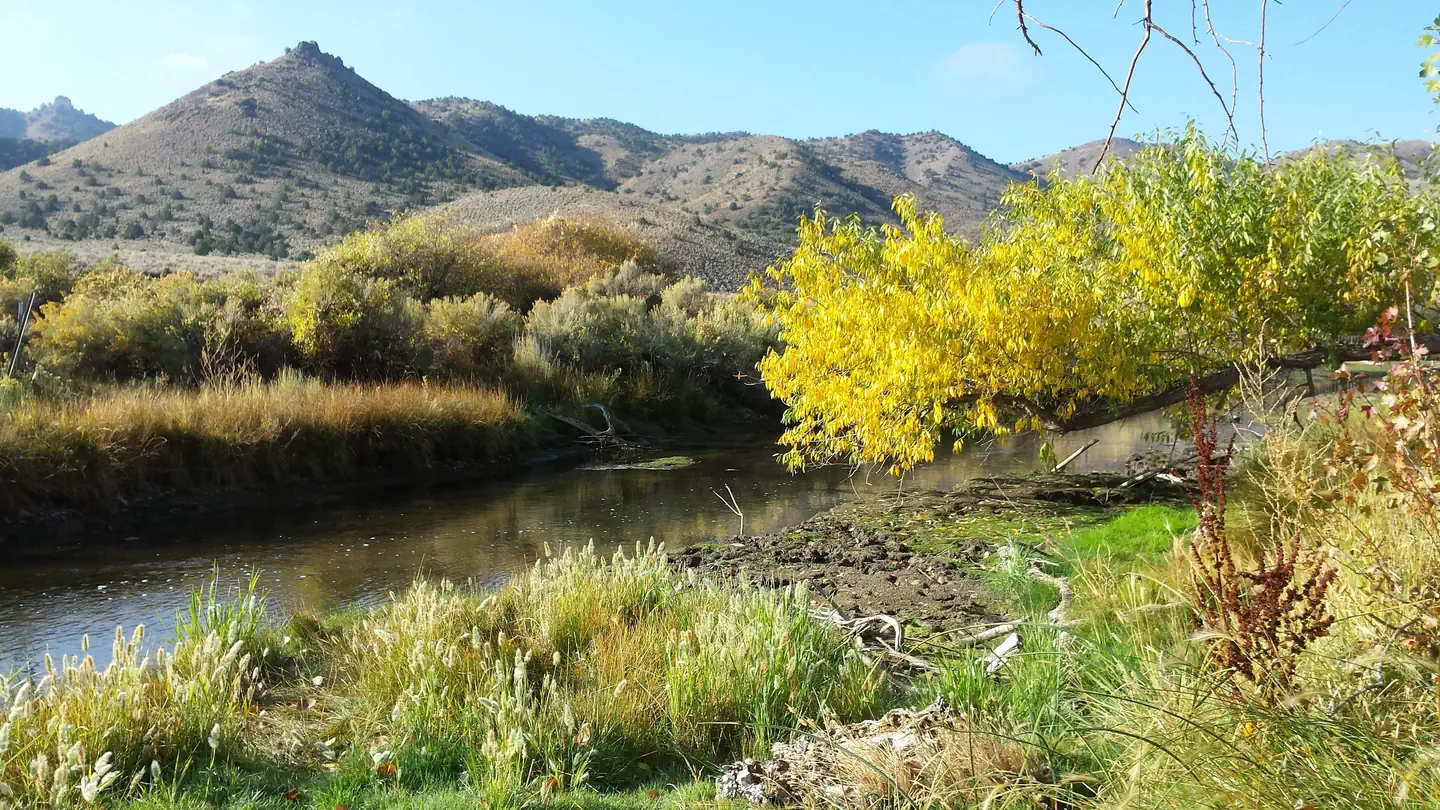 Camper-submitted photo at Hanging Rock Campground — Bureau Of Land Management near Milford, UT