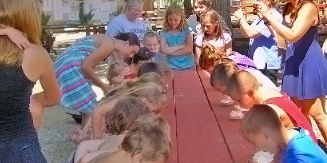 Camper submitted image from Thousand Trails Sturbridge