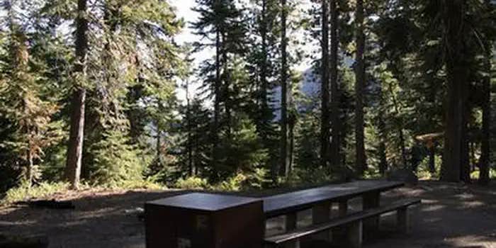 Camper submitted image from Toiyabe National Forest Silver Creek Campground
