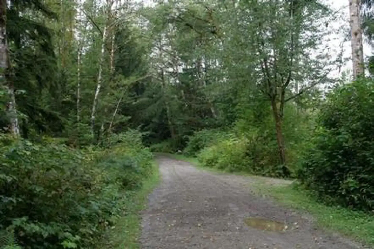 Camping near Beaver Creek Group Camp (mt. Baker-snoqualmie National Forest, Wa): Boardman Creek Group Campground, Darrington, Washington