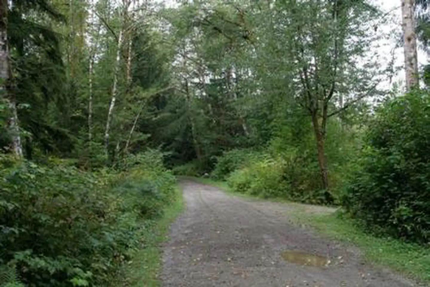 Camper submitted image from Boardman Creek Group Campground - 1